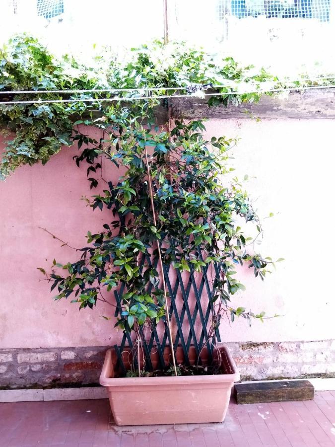 Biennale Flat Apartment Venesia Bagian luar foto